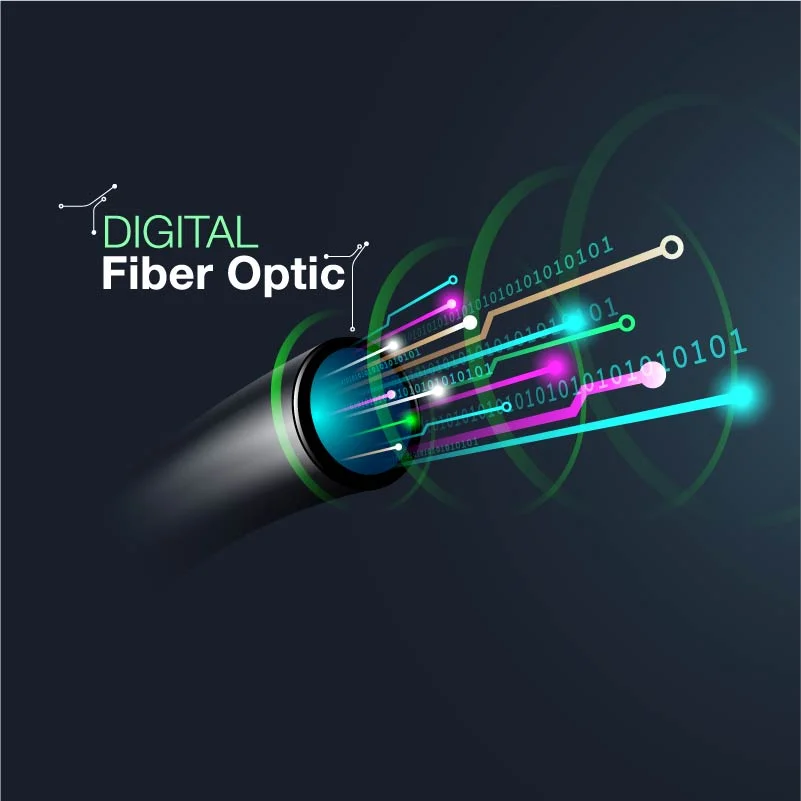Fiber