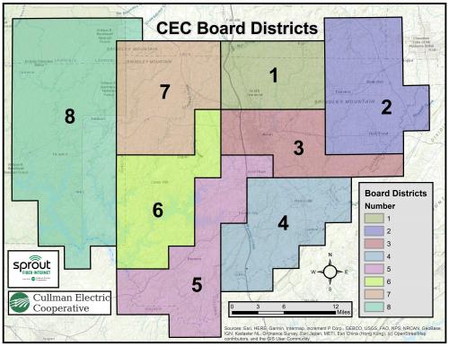 cec_board_districts.jpg